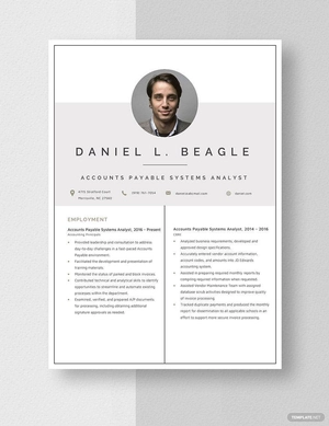Account Payable System Analyst Resume