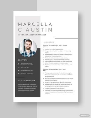 Assistant Account Manager Resume