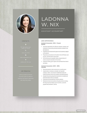 Assistant Accountant Resume
