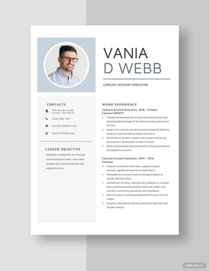 Comcast Account Executive Resume