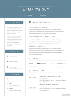 Senior Business Process Resume