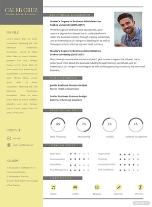 Business Process Executive Resume