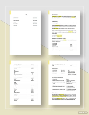 Car Sales Business Plan Template