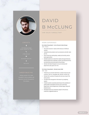 Car Sales Consultant Resume