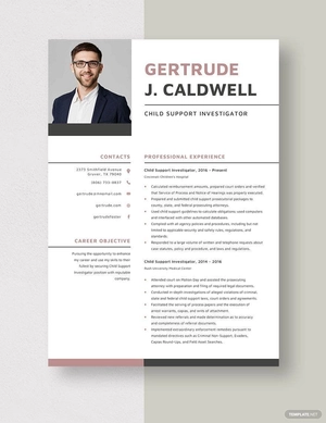 Child Support Investigator Resume