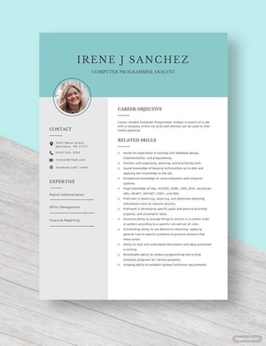 Computer Programmer Analyst Resume