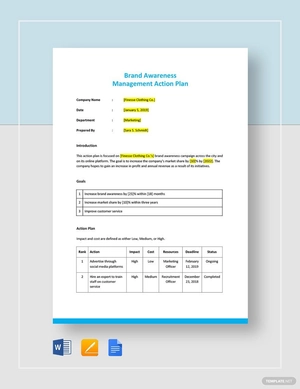 Management Action Plan Template