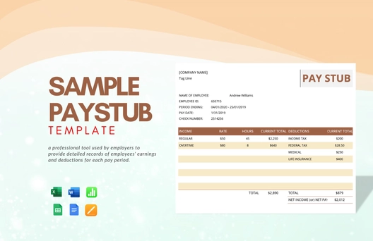 Sample Pay Stub Template