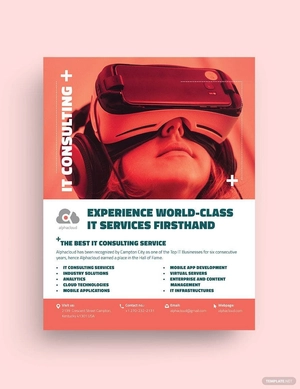 Information Technology Consultants Flyer Template