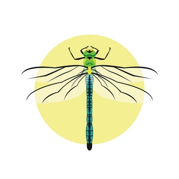 Free Dragonfly Clipart Template to Edit Online