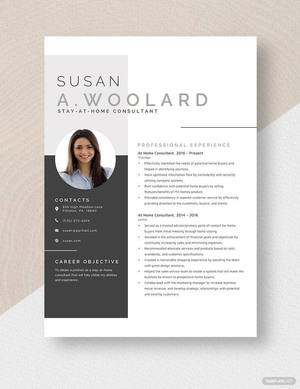 At Home Consultant Resume