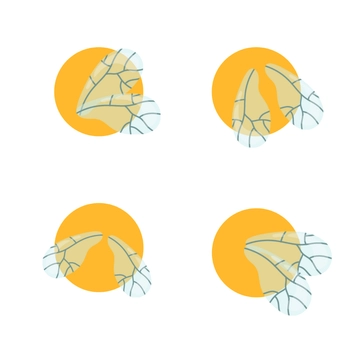 Free Bee Wings Clipart Template to Edit Online