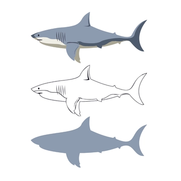 Free Shark Clipart Template to Edit Online