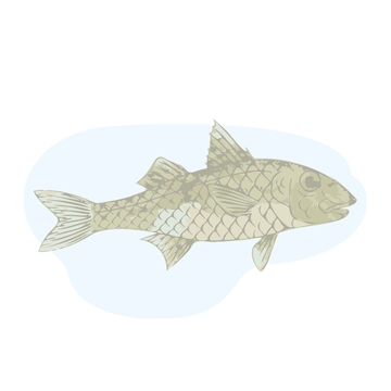 Free Watercolor Fish Clipart Template to Edit Online