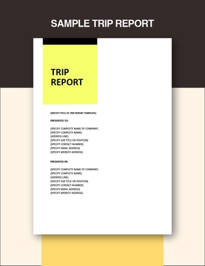 Sample Trip Report Template
