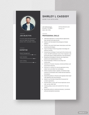 Adobe Flex Developer Resume
