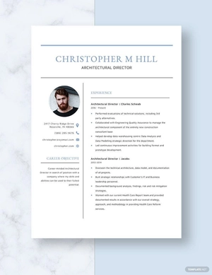 Architectural Director Resume