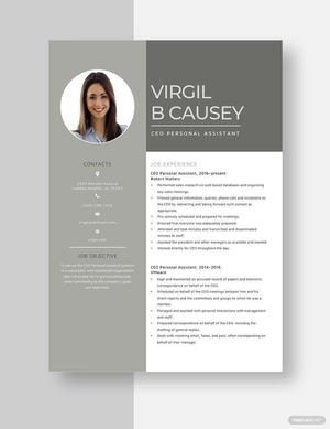 CEO Personal Assistant Resume