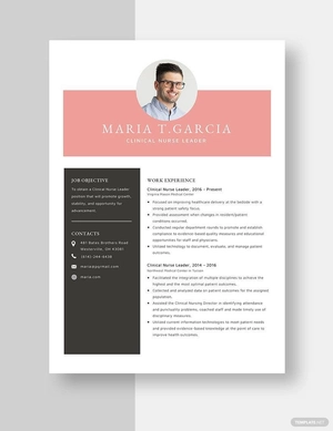 Clinical Nurse Leader Resume