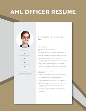 AML Officer Resume