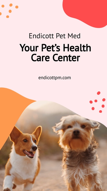 Free Pet Health Care Instagram Story Template to Edit Online