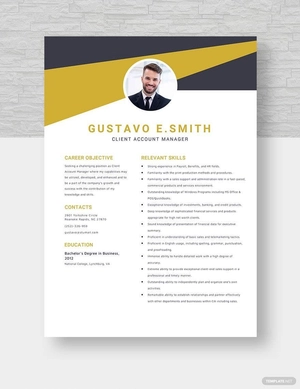 Client Account Manager Resume