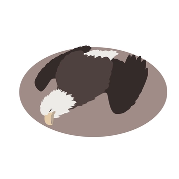Free Dead Eagle Clipart Template to Edit Online