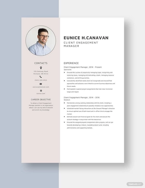Client Engagement Manager Resume