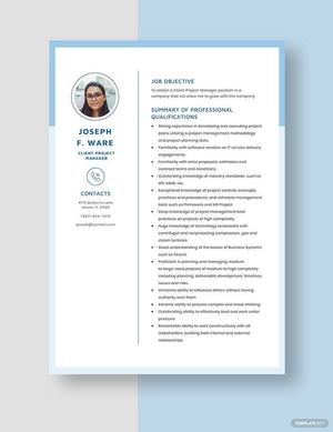 Client Project Manager Resume
