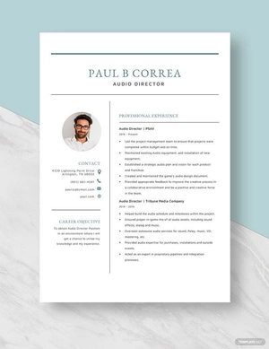 Audio Director Resume