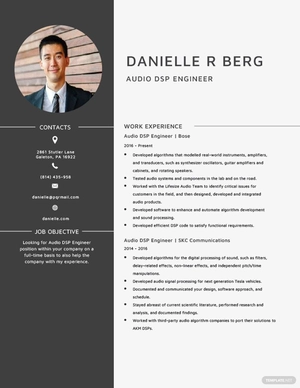 Audio DSP Engineer Resume