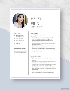 Audit Analyst Resume