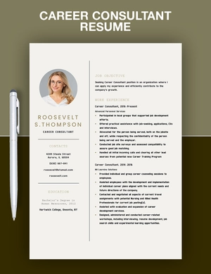 Career Consultant Resume