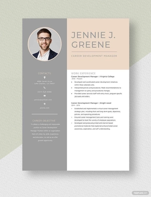 Career Development Manager Resume