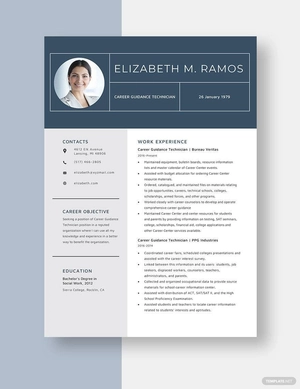 Career Guidance Technician Resume