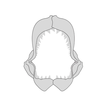 Free Shark Jaws Clipart Template to Edit Online