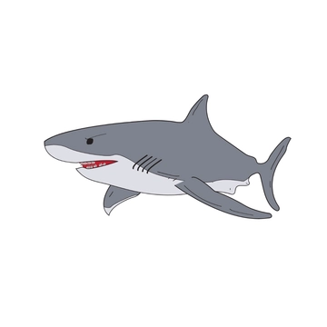 Free Great White Shark Clipart Template to Edit Online