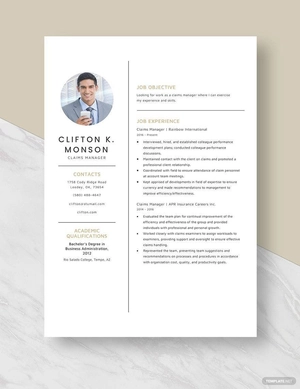 Claims Manager Resume