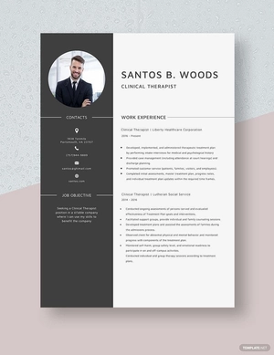 Clinical Therapist Resume