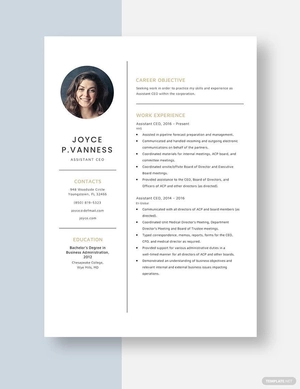 Assistant CEO Resume
