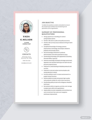 Claims Consultant Resume