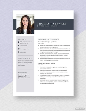 Channel Sales Manager Resume