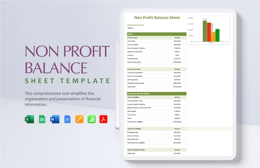 Non Profit Balance Sheet Template