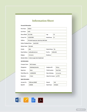 Information Sheet Template