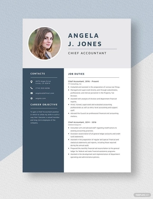Chief Accountant Resume