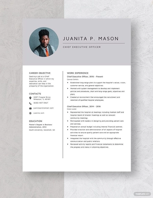 Chief Executive Officer Resume
