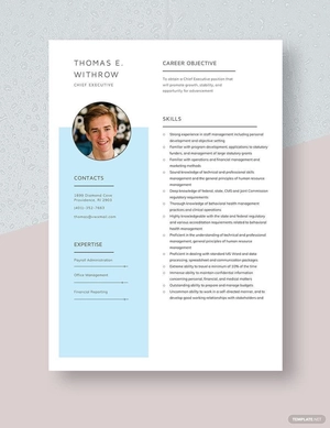 Chief Executive Resume