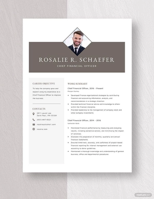Chief Financial Officer Resume