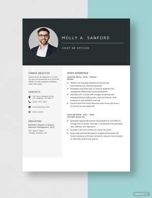 Chief HR Officer Resume