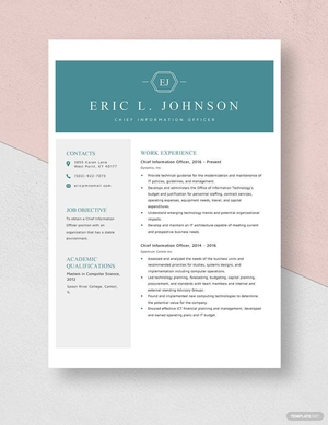 Chief Information Officer Resume